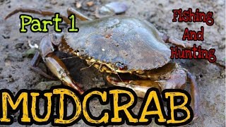 Catching Mudcrab( Tangkap Ketam/ Kepiting)