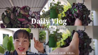 VLOG 💕 EP.11 : Morning in my life | 🌱พบมีบางสิ่งอยู่ในต้นไม้นี้ มันคืออะไร⁉️