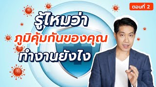 รู้ไหมว่าภูมิคุ้มกันของคุณทำงานยังไง ? (ตอนที่ 2) : [EP17] เรื่องเล่าจากร่างกาย