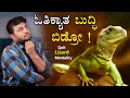 Quit Lizard Mentality | Overnight Richness & Success Myth | Money Earning Tips | Kannada Videos