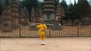 Shifu Yan Jun   Shaolin Temple, Pagoda Forest