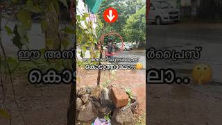 ഈ അനിയന് ഒരു സർപ്രൈസ് കൊടുത്താലോ😍🤫👆🏻👆🏻 #viral #trending #shorts #youtubeshorts #youtube #food