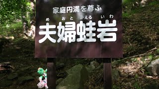 かえるのピクルスと一緒に庚申山を満喫