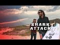 Shark Attack | 9 News Perth