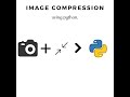 Image Compressor Using Python | CodeinPython