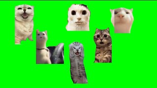 色んな猫ミームで洗操歌素材4#猫ミーム#猫ミーム素材