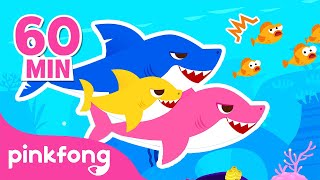 Baby Shark TOUS les Chansons en français | +Comptines | Pinkfong ! Chansons pour Enfants