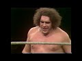 WWF ALL STAR WRESTLING (AUGUST 22ND 1981)