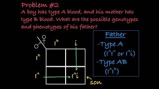 ABO Blood Type Practice Problems