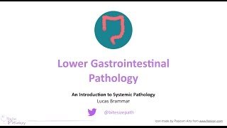 Lower Gastrointestinal (GI) Pathology - Introduction to Systemic Pathology