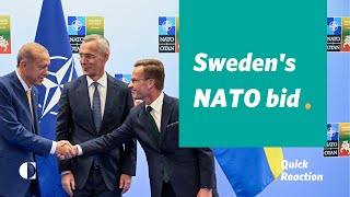 Why Does Erdoğan Now Embrace Sweden’s NATO Bid?