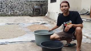 Salah Penyimpanan kopi jadi RUSAK (yang benar kaya gini guisss)