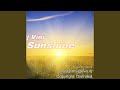 Sunshine (Radio Edit)