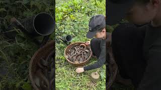 Unbelievable oil fishing skills with new primitive technology of catching giant eels fish 😂