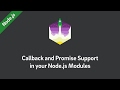 Node.js Tutorial — Callback and Promise Support in your Modules