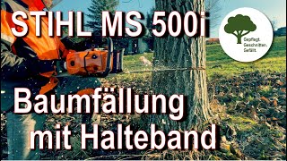 Stihl MS 500i - Baumfällung mit Halteband - Sicherheitsfälltechnik - Skizzen zur Erklärung