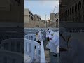 paman bibi saya baru tadi umrah