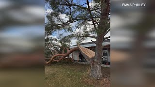 MONTANA STORM DAMAGE | Severe weather topples trees in Western Montana