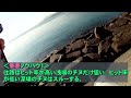 見えチヌ釣り（教本１２）見えチヌを短時間に効率よく釣る為のルーティンを紹介 いつも通り釣り場に着いて十数分で１枚目 【前打ち／ヘチ釣り／落とし込み／河川／クロダイ／カニ／釣り方／サイトフィッシング】