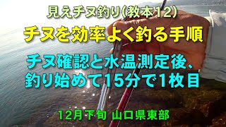 見えチヌ釣り（教本１２）見えチヌを短時間に効率よく釣る為のルーティンを紹介(いつも通り釣り場に着いて十数分で１枚目)【前打ち／ヘチ釣り／落とし込み／河川／クロダイ／カニ／釣り方／サイトフィッシング】