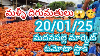 20-01-25 Madanapalle Tomato Market price Today || Today Tomato Market Rate in Madanapalle #today