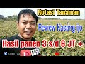 ROTASI TANAMAN. REVIEW KACANG HIJAU..