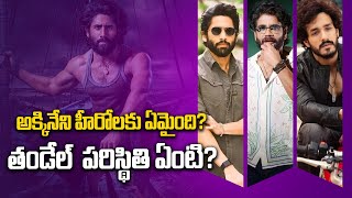 Akkineni Heroes 2025 Movies List : అక్కినేని అంటే పేరు కాదు....బ్రాండ్ |Thandel |Telugu Filmibeat