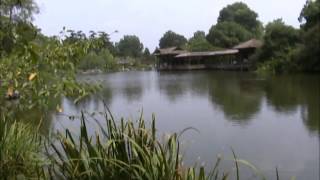 Hangzhou Westsee West Lake Red Carp Pond Baochu ta 杭州市 西湖 花港观鱼 保俶塔 宝石山