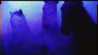 Q Lazzarus - Goodbye Horses (Demo 1) [Music Video]