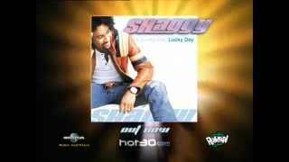 SHAGGY - LUCKY DAY 15