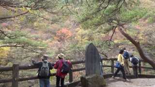 龍王峡の紅葉　日光国立公園