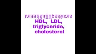 សារធាតុខ្លាញ់ក្នុងចរន្តឈាម និង ការបន្ថយ, HDL,  LDL, triglyceride,  cholesterol