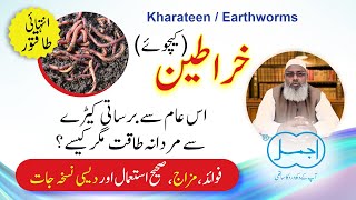 Kharateen (خراطین) k Tibbi Fawaid | Earthworm Benefits for Male Health | Tila Kharateen