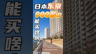 日本东京超大阳台学区海景塔楼，只要900多w？#日本 #日本东京 #日本房产