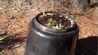 How To Compost Using Earth Machine 101 - Part 2