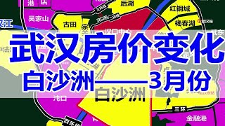 武汉3月房价变化，白沙洲板块（重点板块）