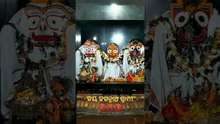 ଯେତେ ଦାମୀ ଲୁଗା ପି ନ୍ଧୁ ଥା ଧନ ସଜେଇ ହୋଇ 🤱🪔🙏🏼🤲🏼😭💅🛕🚩⭕‼️⭕🪔💅🏼🤱