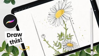 How To Draw A Daisy • Procreate Tutorial • DIY Wall Art