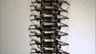 Centipede Millirobot