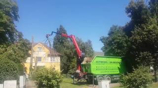 Grapple saw for tree removal - Greifersäge für Baumfällung