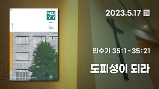 [매일성경 새벽큐티] 2023.5.17(수) / 민수기 35 : 1 ~ 35 : 21 / 도피성이 되라