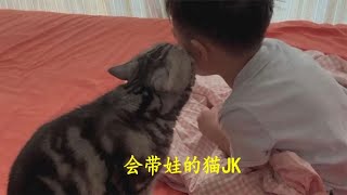 一只带娃比亲妈还上心的猫咪JK