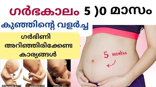 ഗർഭകാലം അഞ്ചാം മാസം ഇത് അറിയണം Pregnancy 5th Month Baby Movement Development Growth/Second Trimester