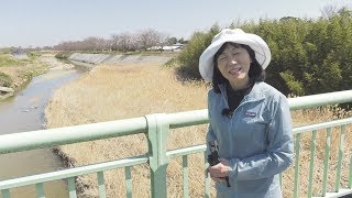 松阪ぐるぐるMAP「阪内川コース」