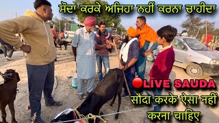 सौदा करके ऐसा नहीं करना चाहिए #live_sauda tungwali bakri bazar goat farming market @farmingbaba