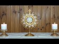 adoración al santísimo sacramento del altar en vivo live adoration of the blessed sacrament.