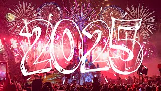 Disneyland Paris - New Year Fireworks 2024/2025 ✨