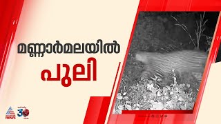 മണ്ണാർമലയിൽ പുലിയിറങ്ങി ; നാട്ടുകാർ സ്ഥാപിച്ച ക്യാമറയിൽ പുലിയുടെ ദൃശ്യങ്ങൾ