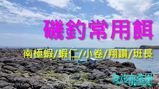 學釣魚 #37 最後一餐?給魚吃好一點! 磯釣常用的魚餌(肉餌與練餌)介紹  #南極蝦 #蝦仁 #小卷 #翔讚 #班長