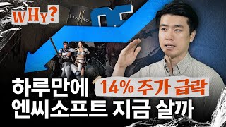 위기의 엔씨소프트, 100만원 영광 되찾을까?｜WHY EP.22